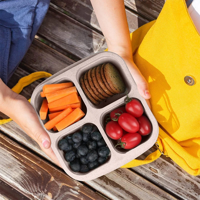 Контейнер для хранения еды с 4 – обзор и цена Food Storage Freezer